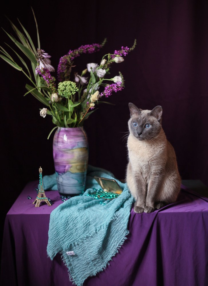 Photograph by Светлана Кавказская