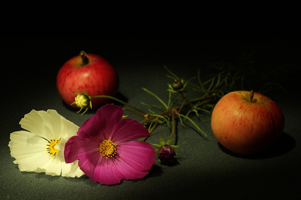 Фотография автора Геннадий Титов