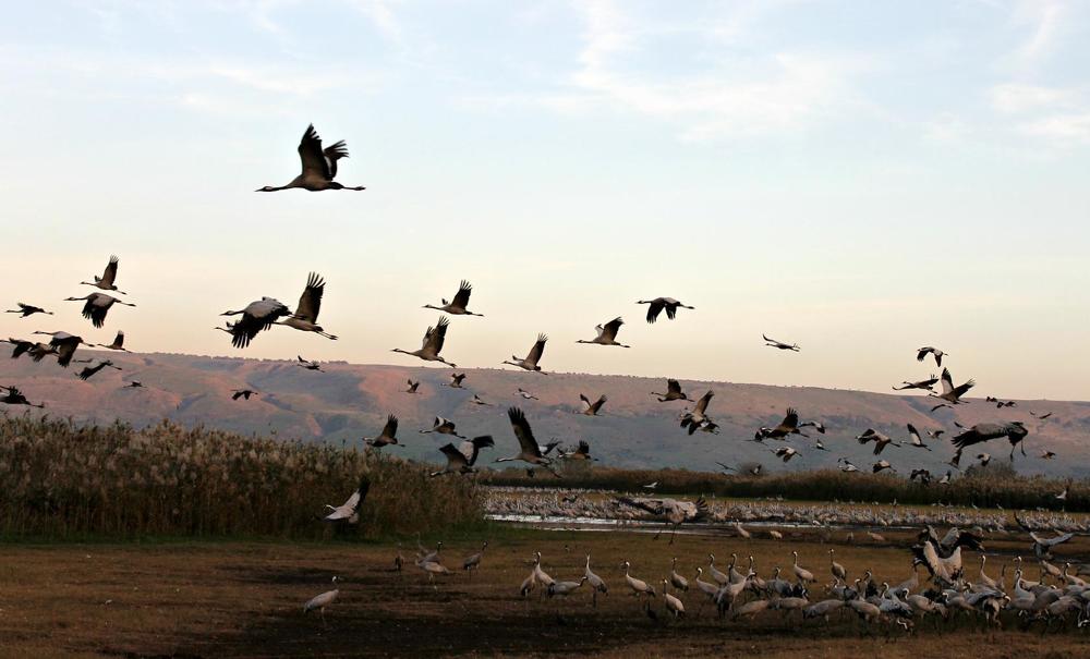 Photograph by Irina Radzinskaya