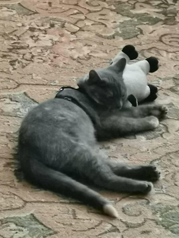 Photograph by Рутковская Жанна