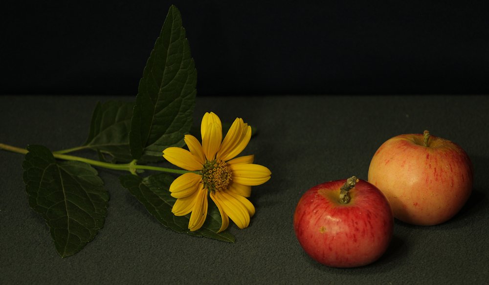 Фотография автора Геннадий Титов