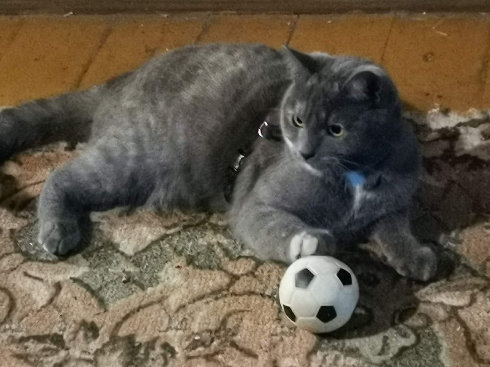 Photograph by Рутковская Жанна