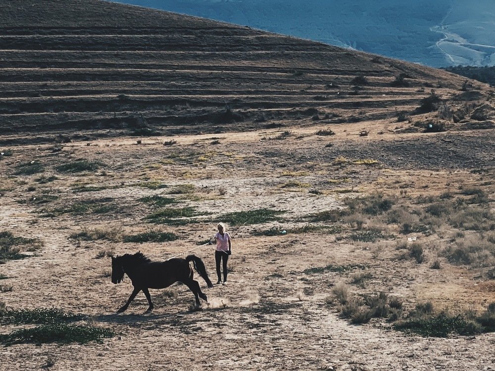 Photograph by Ольга Петухова