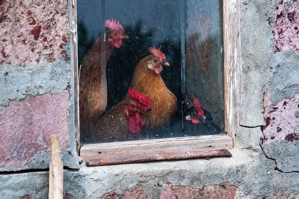 Photograph by Narek Antashyan