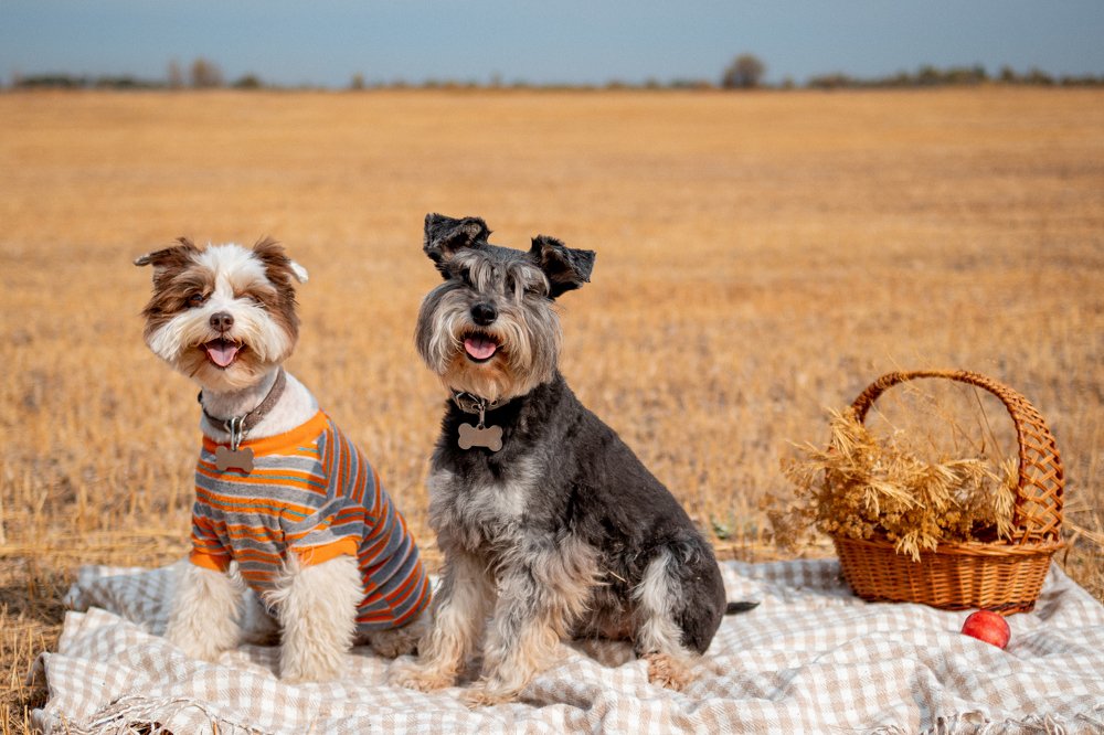 Photograph by Эльвира Грызлова