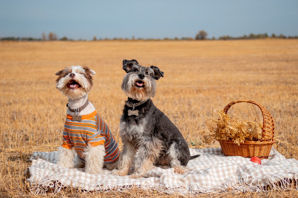 Photograph by Эльвира Грызлова