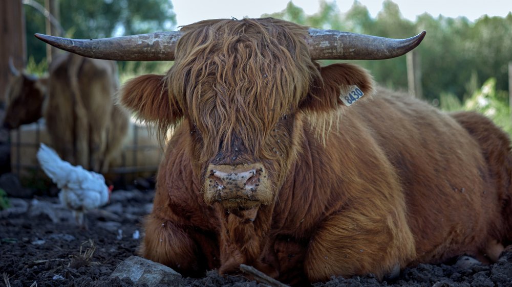 Photograph by Natalia Ghimp