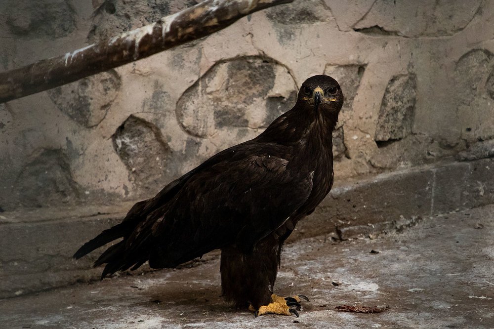 Photograph by Narek Antashyan