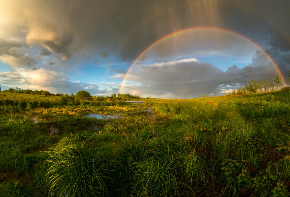 Photograph by Юрий Москалев