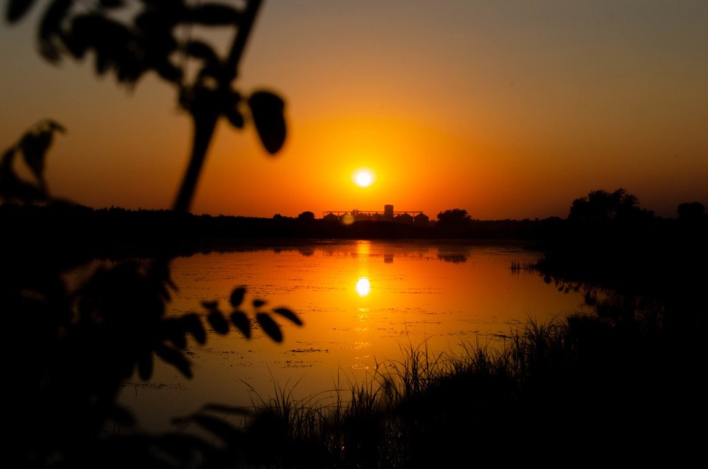 Photograph by Victor Bogdan