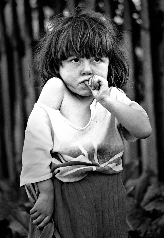 Photograph by Roman Barisev