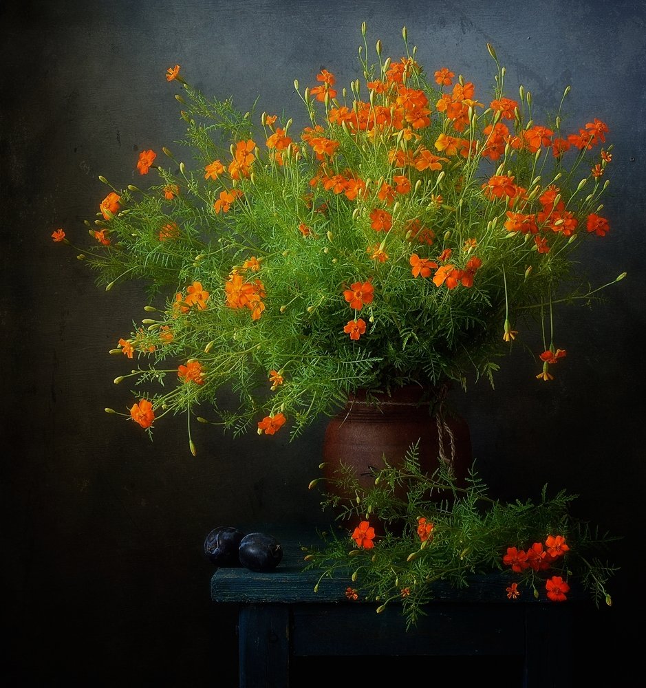 Photograph by Наталия К