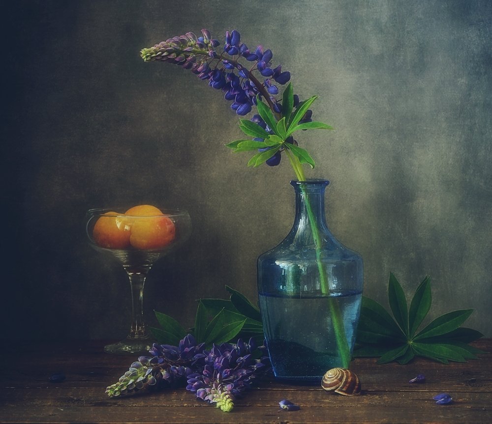 Photograph by Наталия К