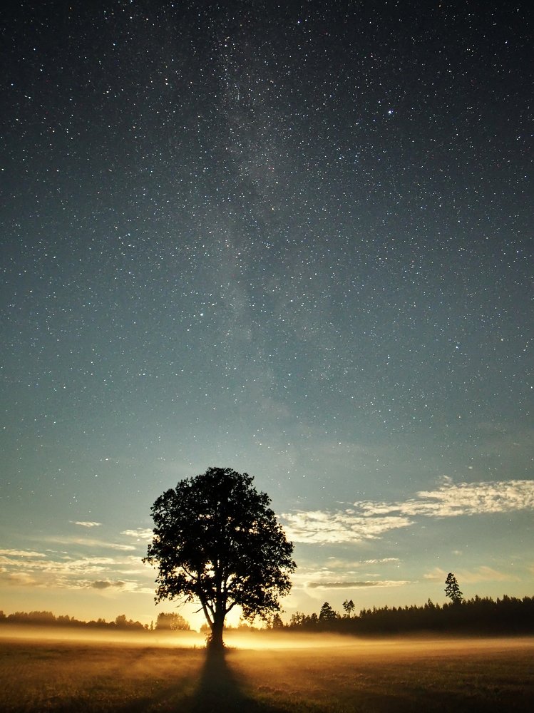 Moon set and milky way stars