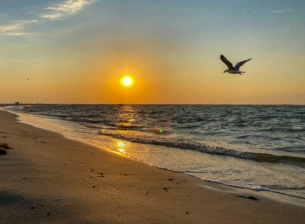 Photograph by Marina