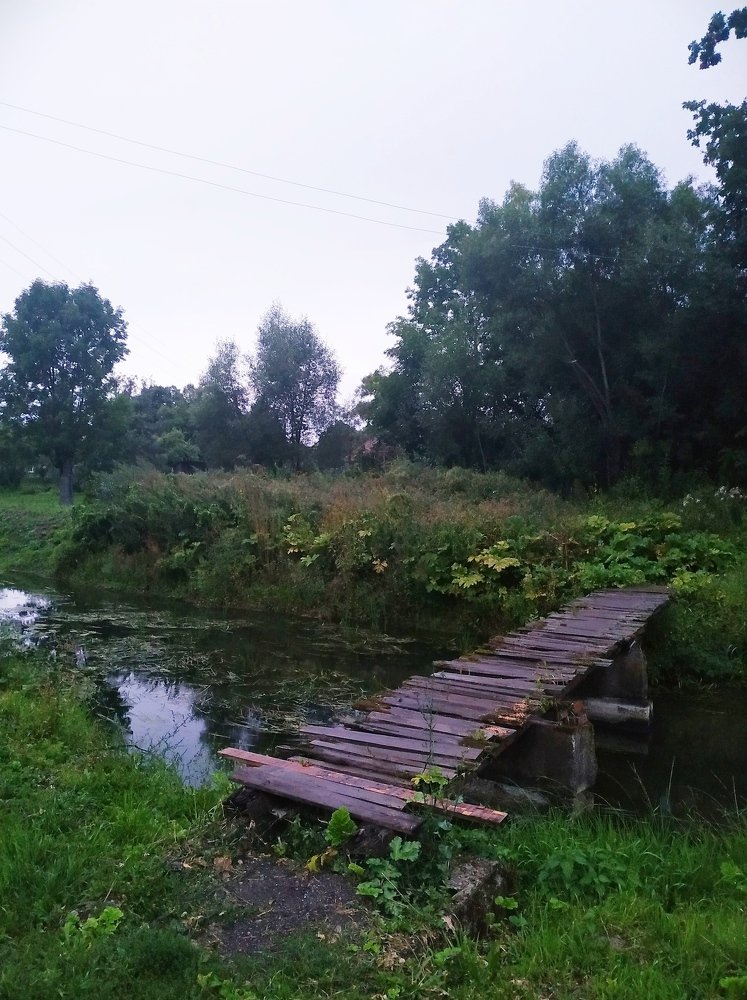 Заброшенный пруд