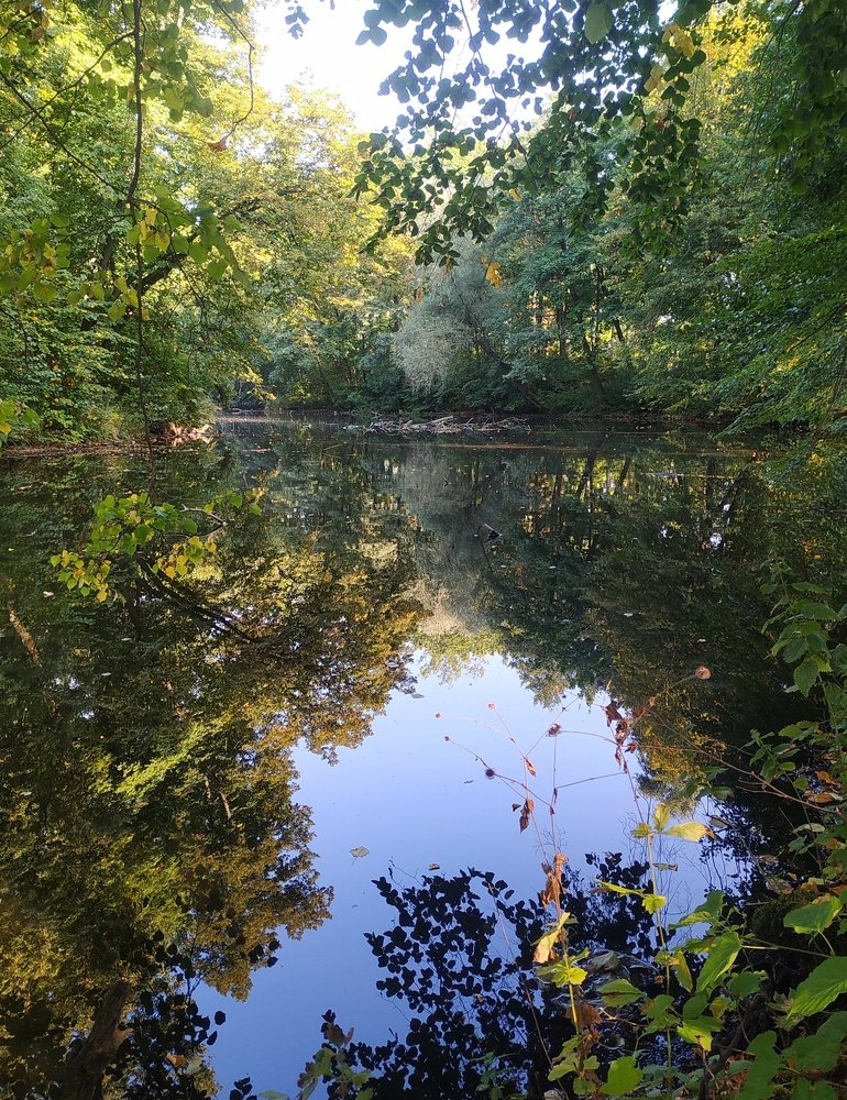 Ранняя осень