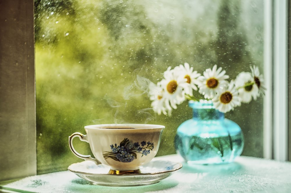 Photograph by Галина Царькова