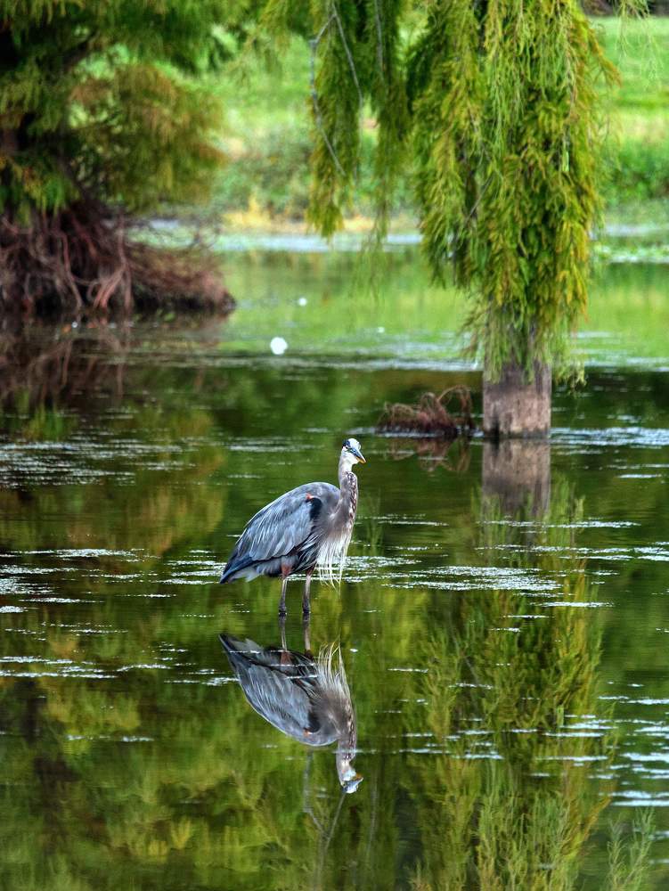 Photograph by Daniel Paredes