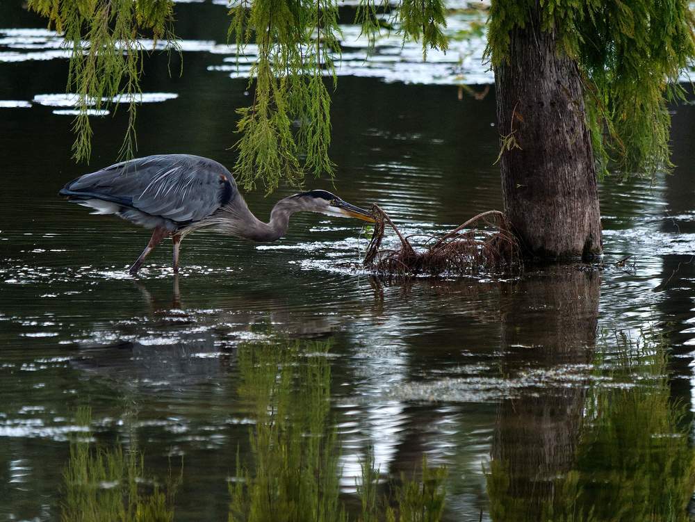 Photograph by Daniel Paredes