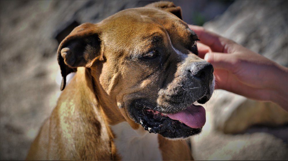 Photograph by Karina Elena Bergagna