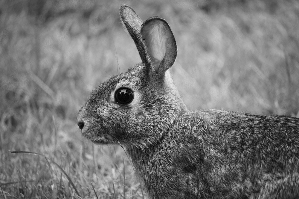 Photograph by Olga Vasina