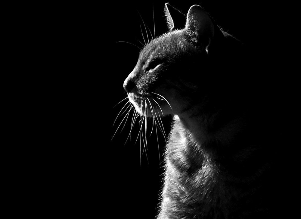 Photograph by GLEYDA GUTIÉREZ