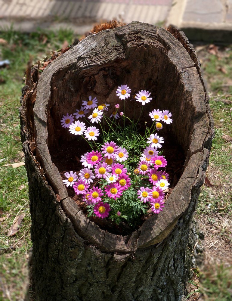 Photograph by GLEYDA GUTIÉREZ