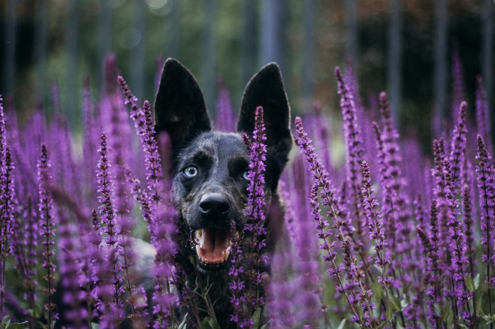 Photograph by Юлия