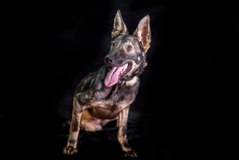 Photograph by Екатерина Семенова