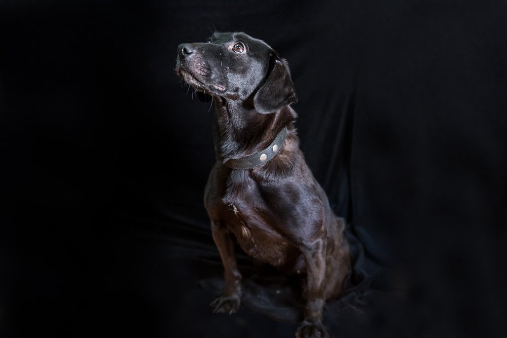 Photograph by Екатерина Семенова