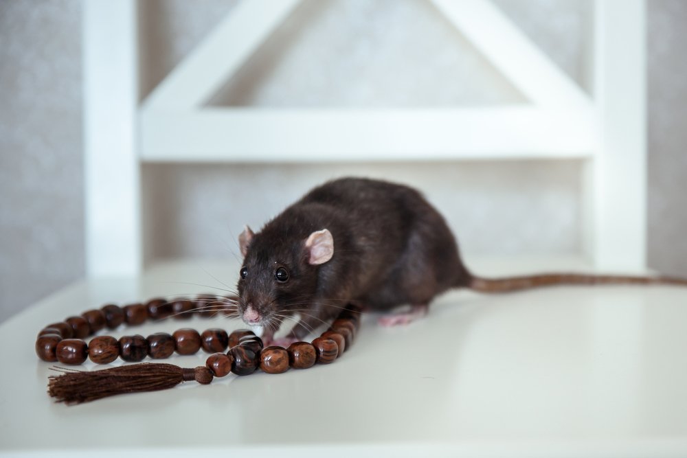 Photograph by Екатерина Семенова