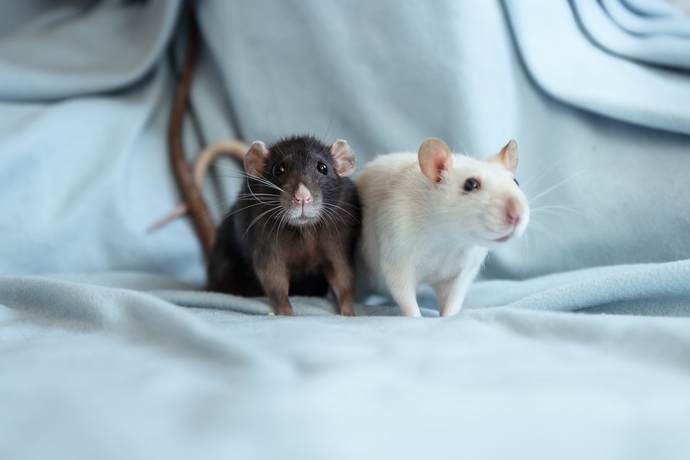 Photograph by Екатерина Семенова