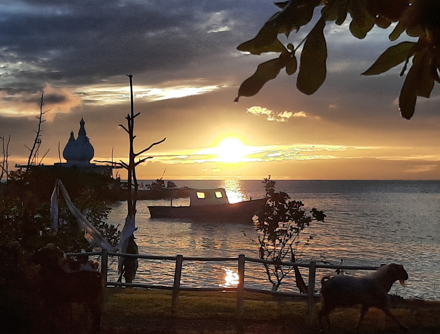 Photo #4993184