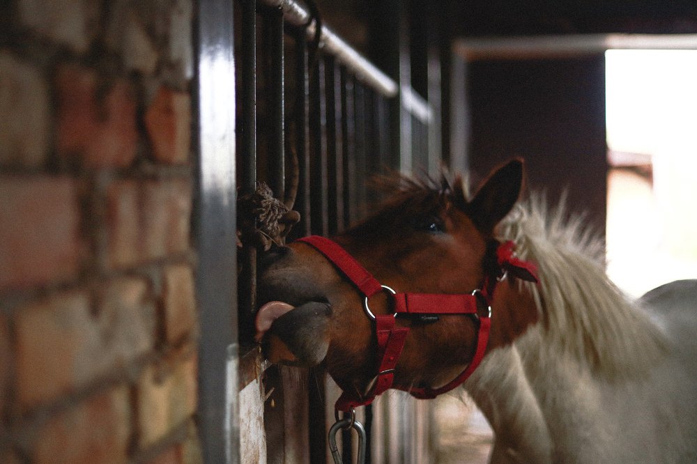 Photograph by Светлана Беляева