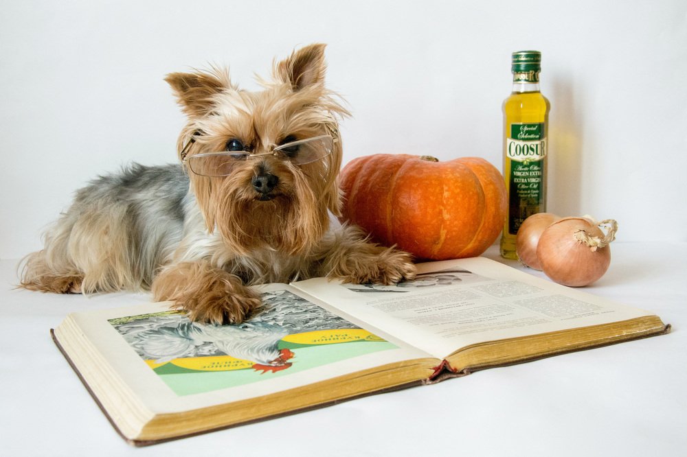 Так что там на гарнир к курице подают?