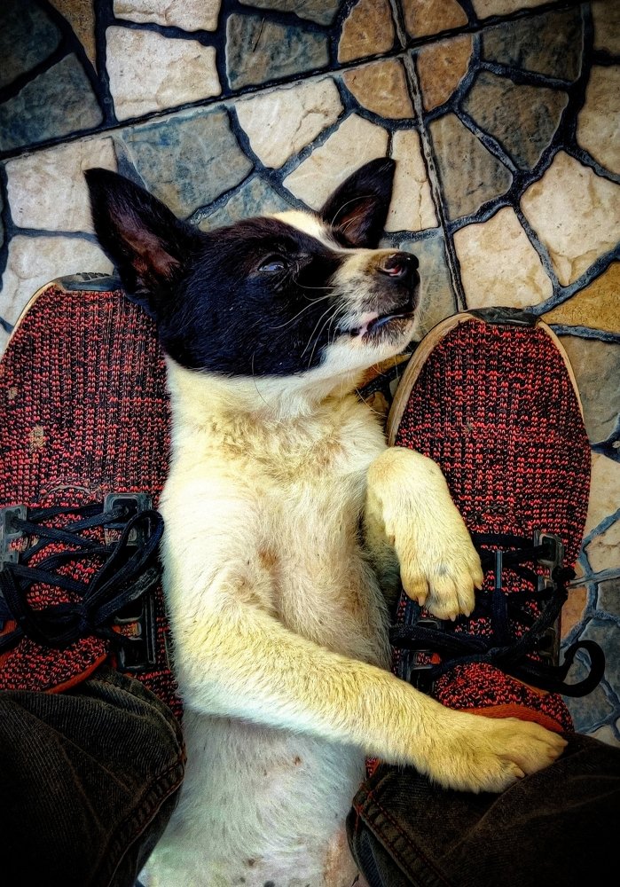 Photograph by Aeshvarya Yadav