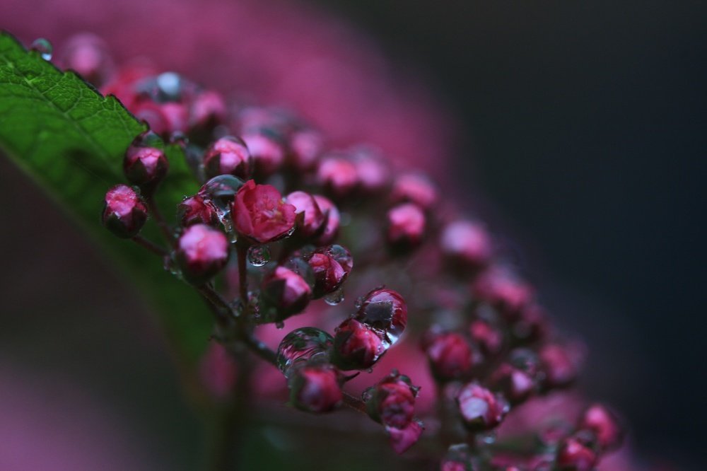 Photograph by Ирина Терешина