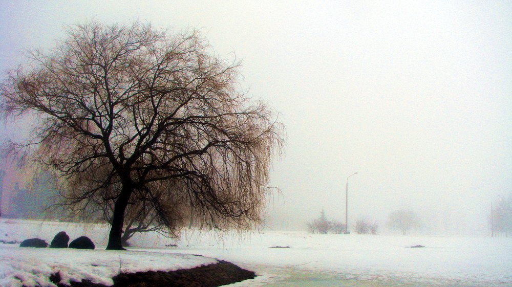 Photograph by Андрей