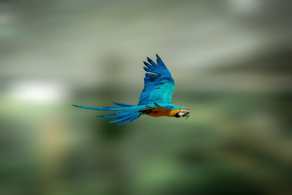 Photograph by Furqan Ali