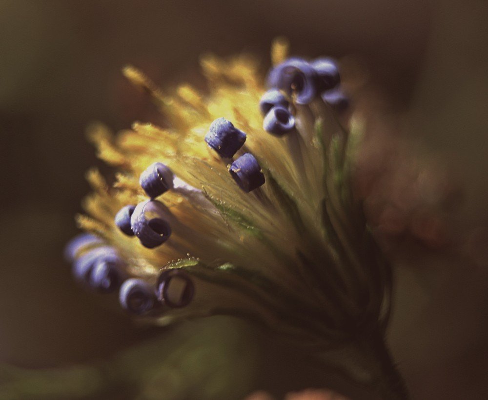 Photograph by Нина Минченко