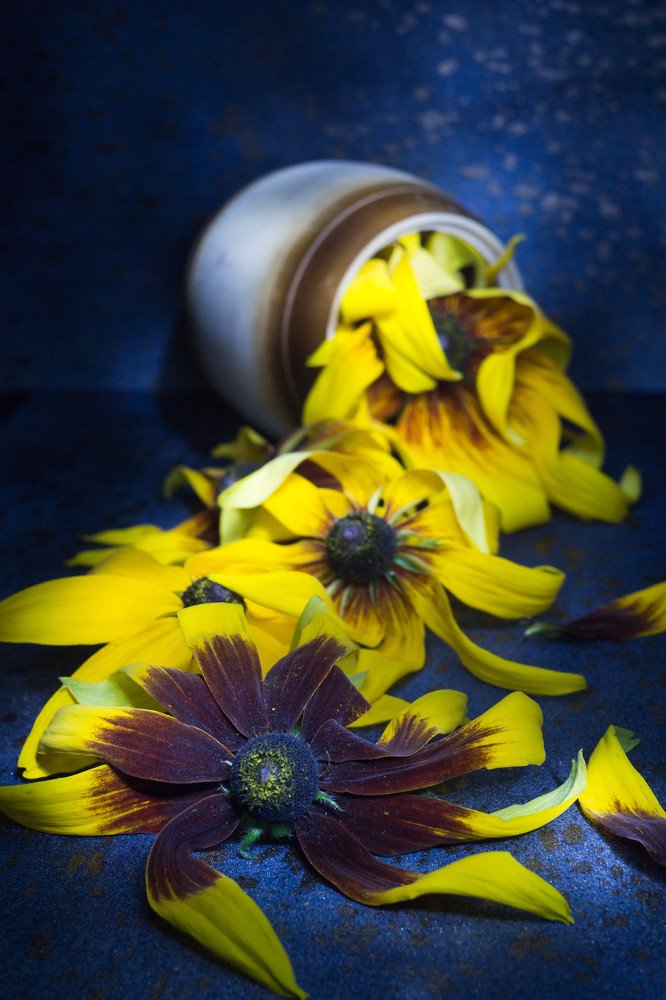 Photograph by Иванова Светлана