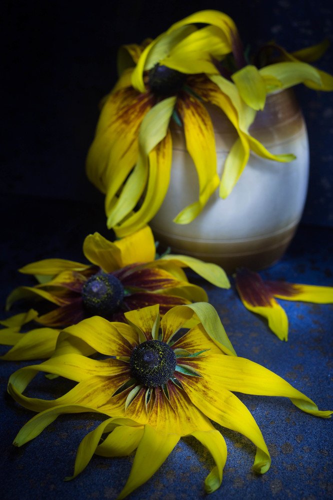 Photograph by Иванова Светлана