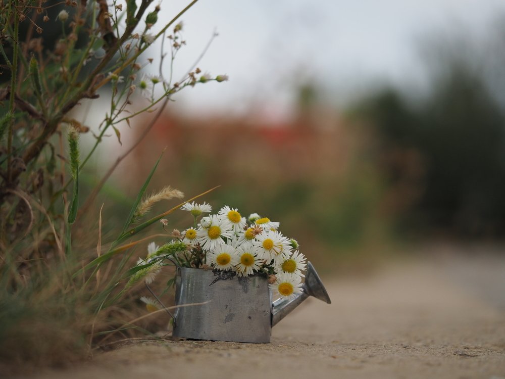 Photograph by Юлия Кравченко