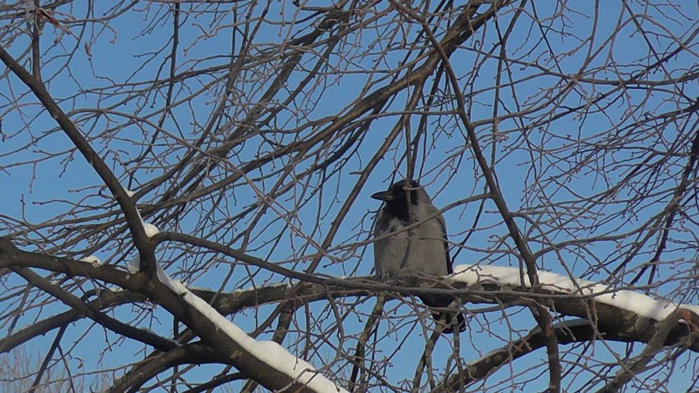 Photograph by Елена Малкова