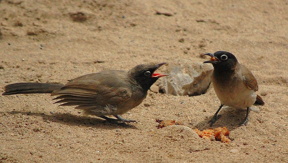 Photograph by Яков