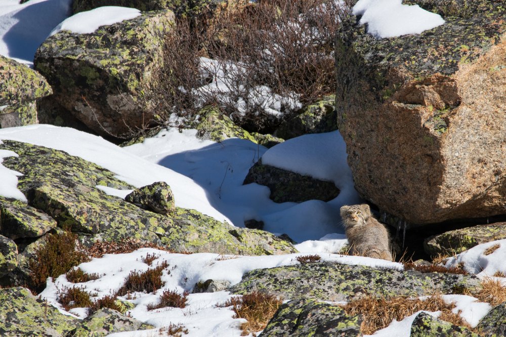 Photograph by Жбир Денис