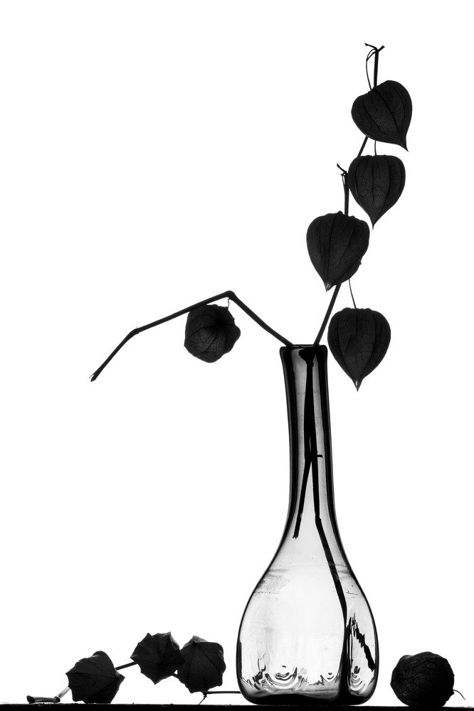 Photograph by Алексей Худяков