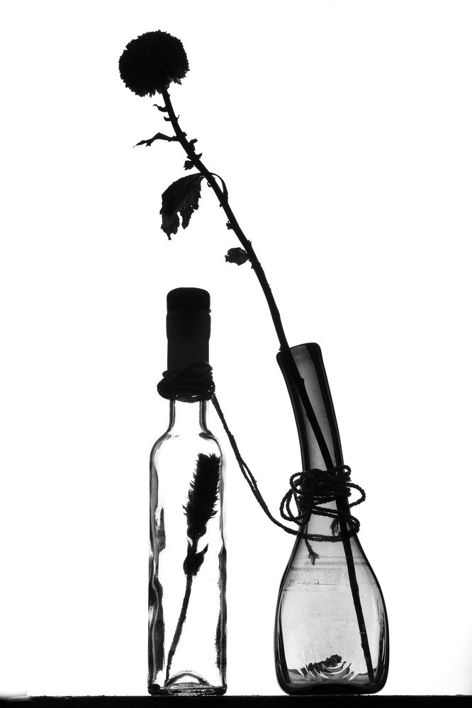 Любовь у каждого своя.