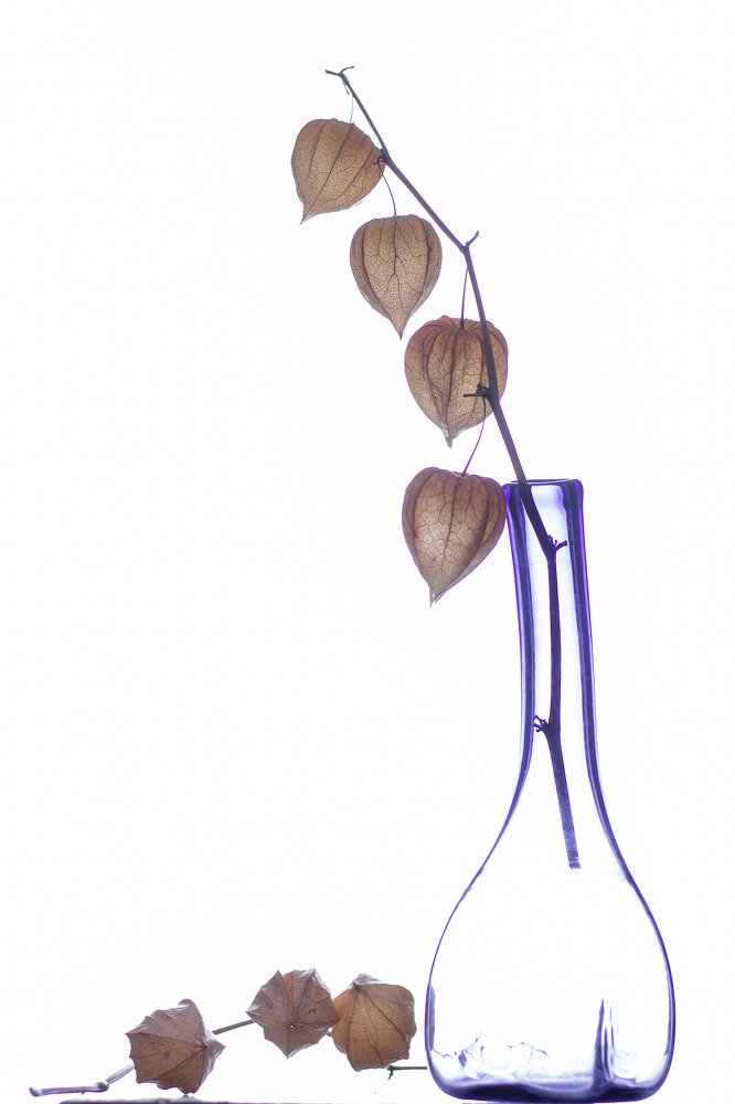 Photograph by Алексей Худяков